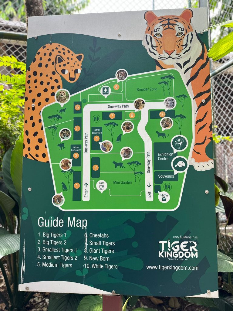 Phuket tiger kingdom